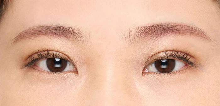 左右非対称眉の女性に似合う描き方でメイクした眉毛