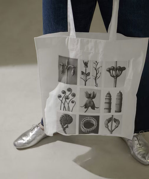 【SALON adam et rope'】【KARL BLOSSFELD】フォトプリントトートバッグ