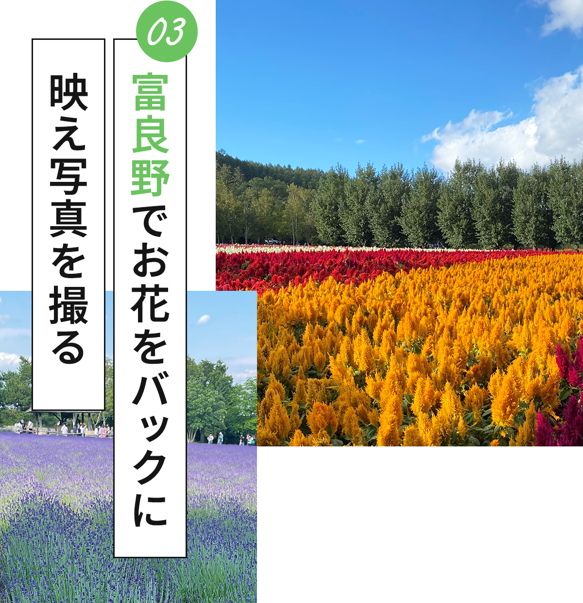 富良野
