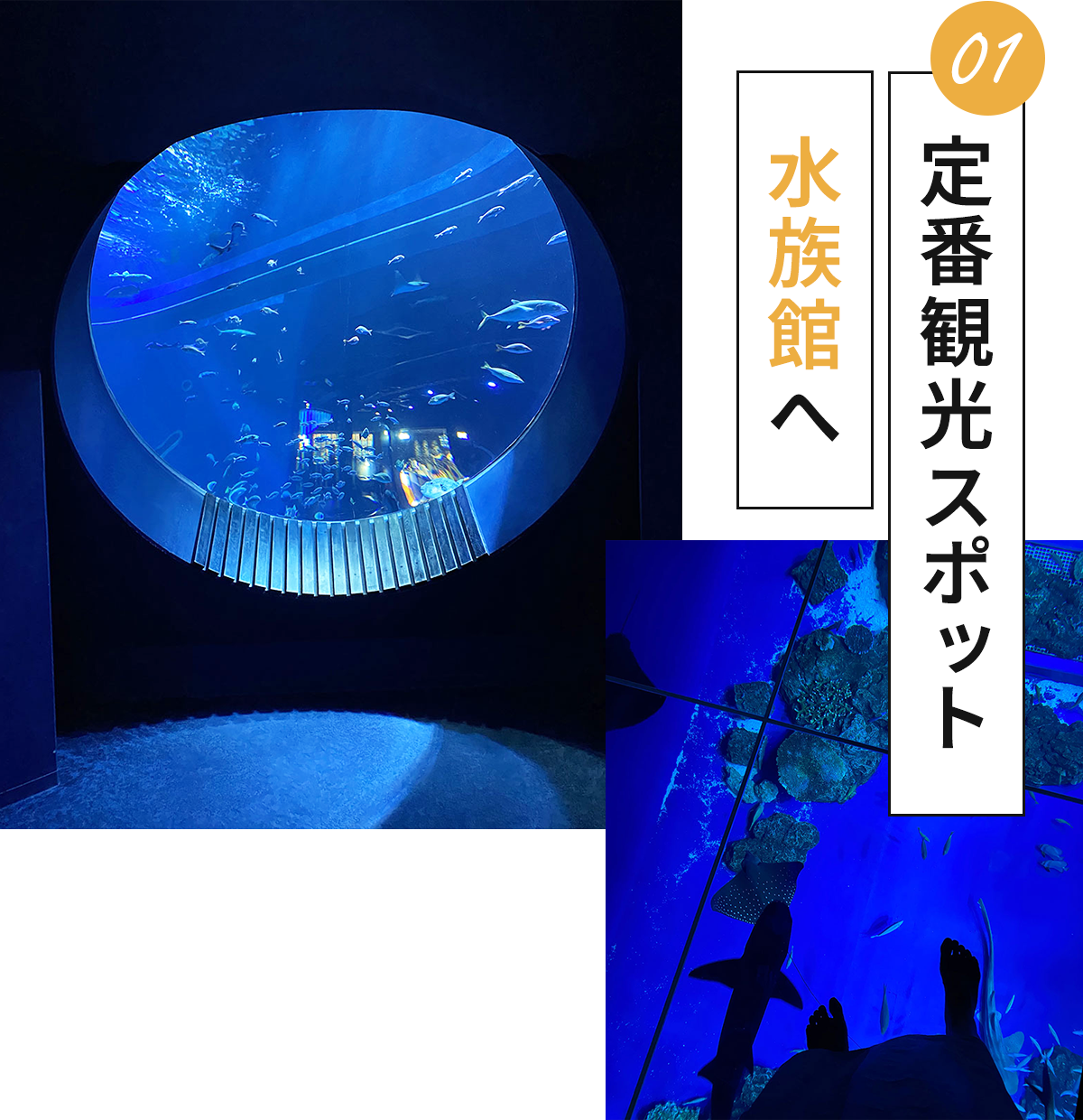 美ら水族館
