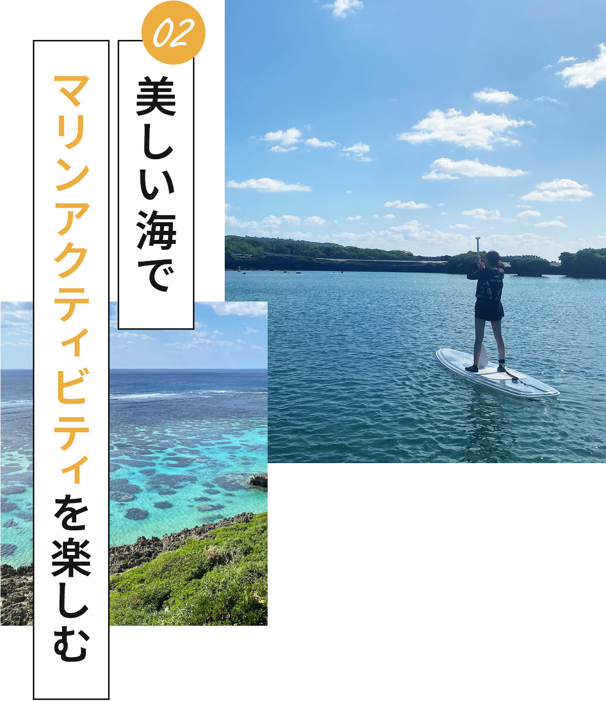 マリンアクティビティ